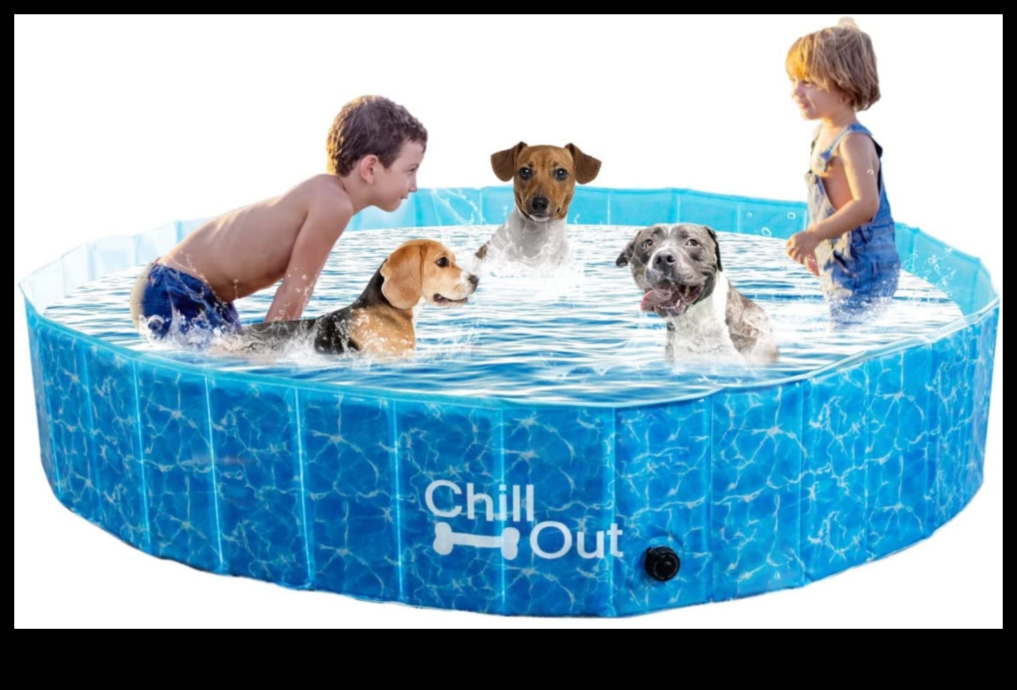 Puppy Pool Paw-ty Continuare: Adăugarea de jocuri de apă pentru câini