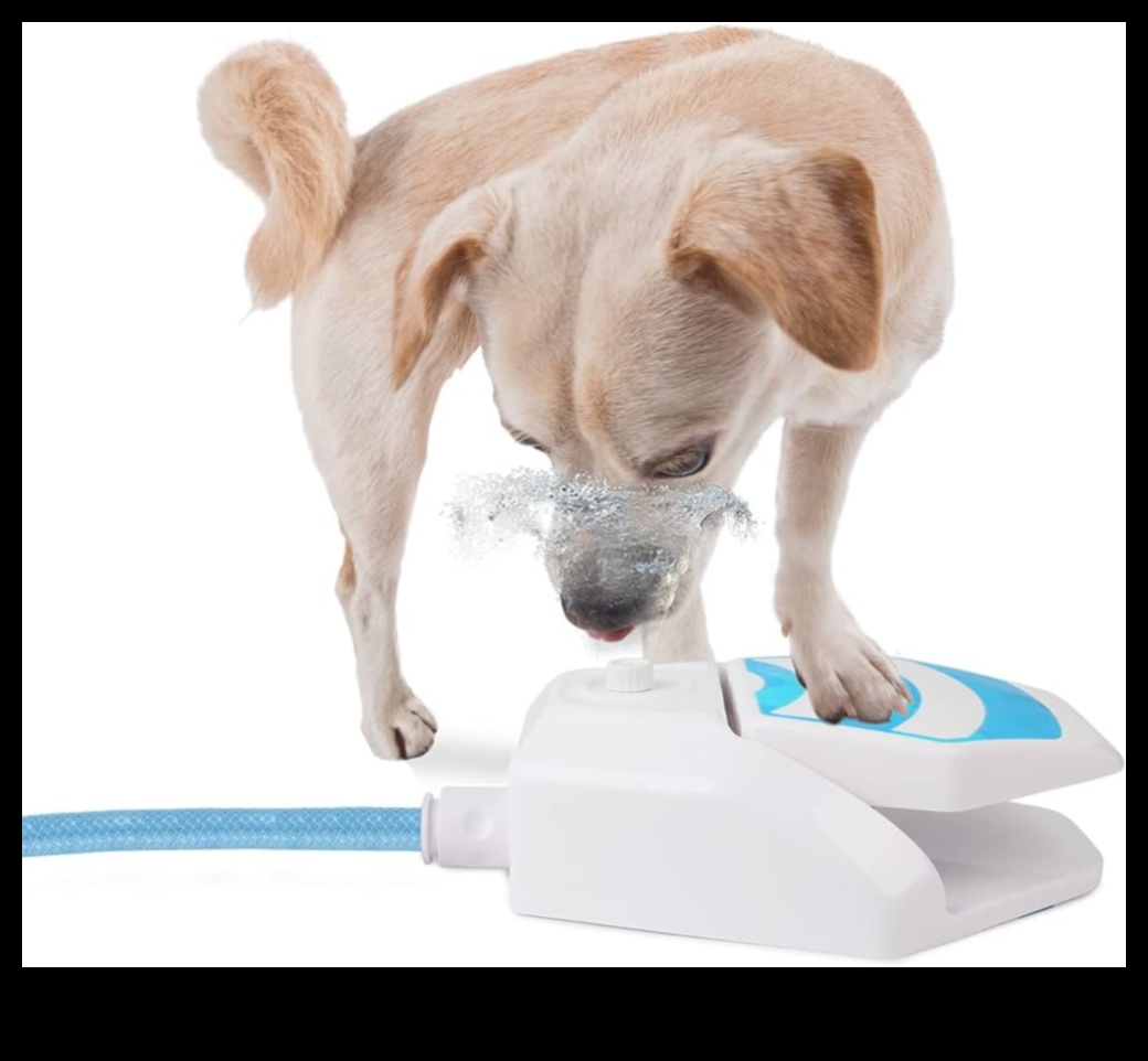 Puppy Pool Paw-ty Continuare: Adăugarea de jocuri de apă pentru câini